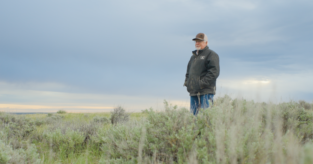 How One Rancher’s Legacy is Restoring Montana’s… | Bezos Earth Fund