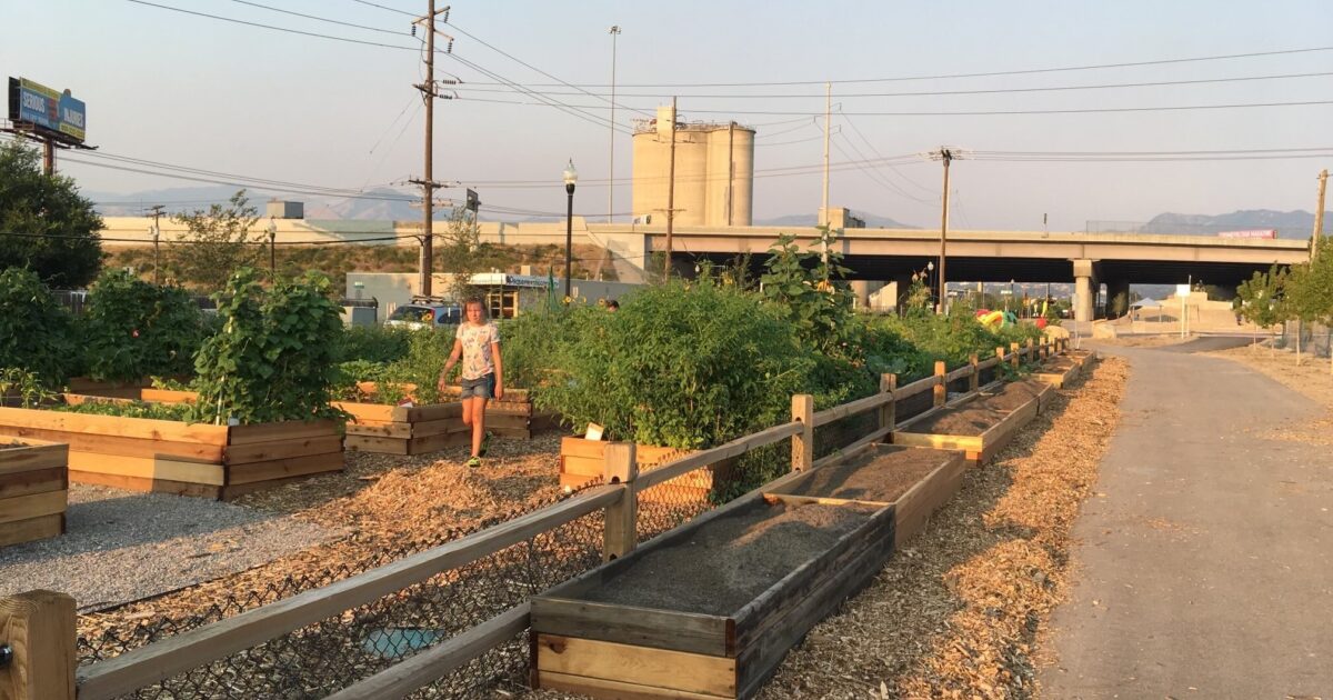 贝索斯地球基金宣布1亿美元投资，将美国八市闲置用地转为绿色空间