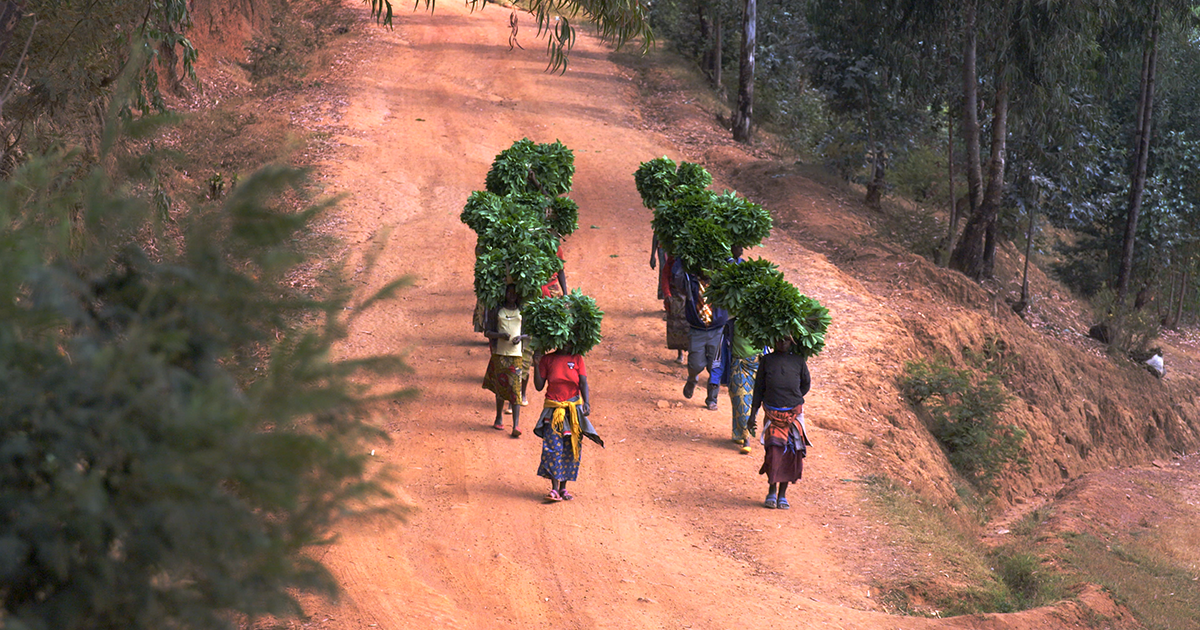 From Food Waste to Treasure Trove of Benefits | Bezos Earth Fund