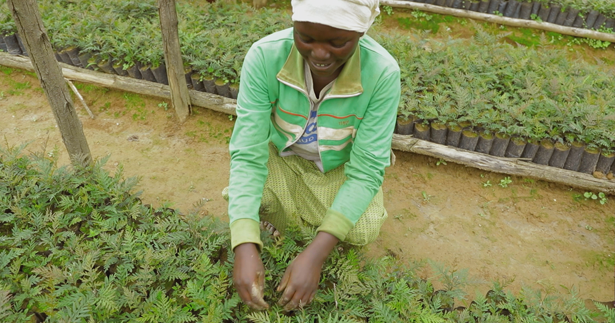 1加十三手机（一加13）怎么样？体验3天优缺点测评 visual data 4