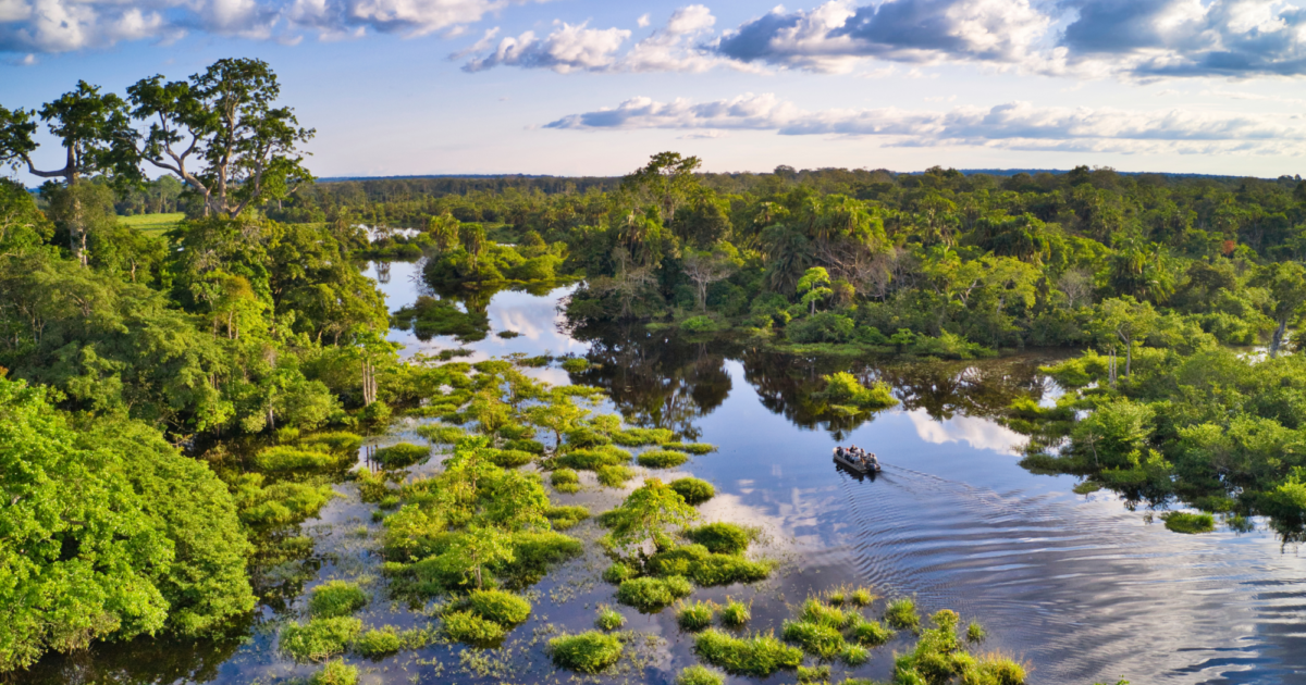congo-basin-bezos-earth-fund