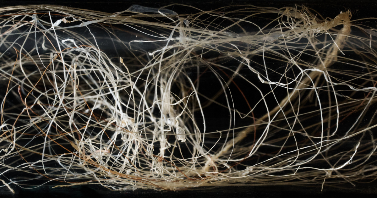 Bezos Earth Fund Teams-Up with Scientists to Reinvent What Clothes…